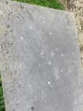 image of grave number 542719